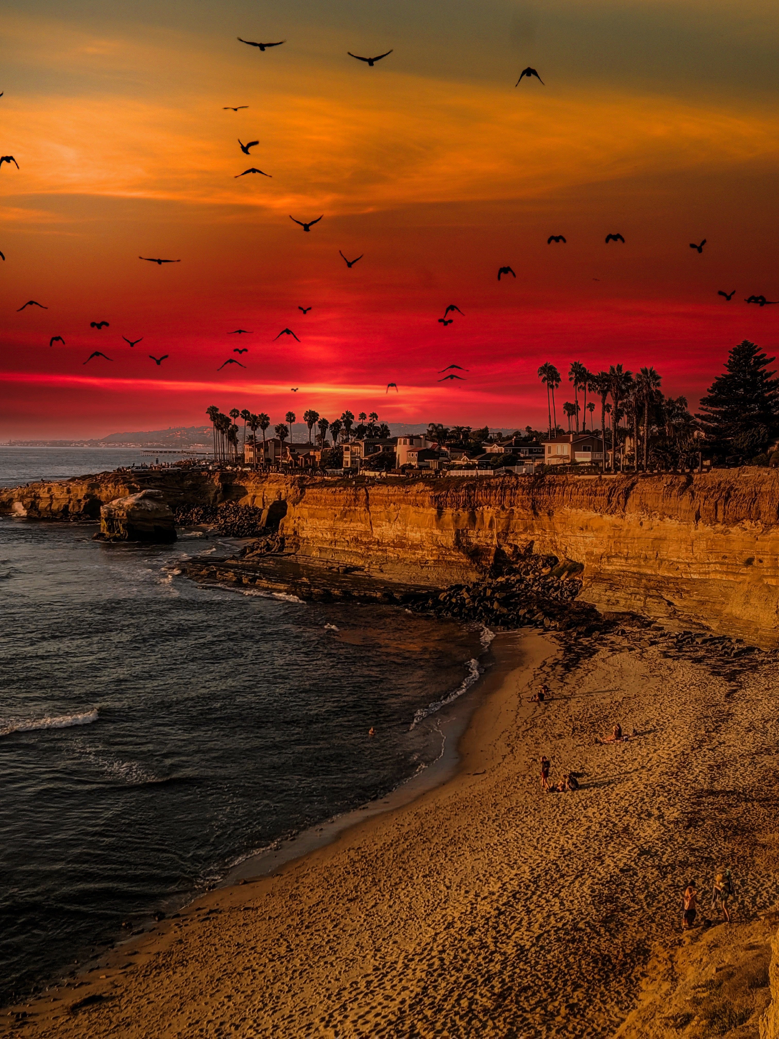 Sunset Cliffs Sunset Coastal Metal Wall Art Print