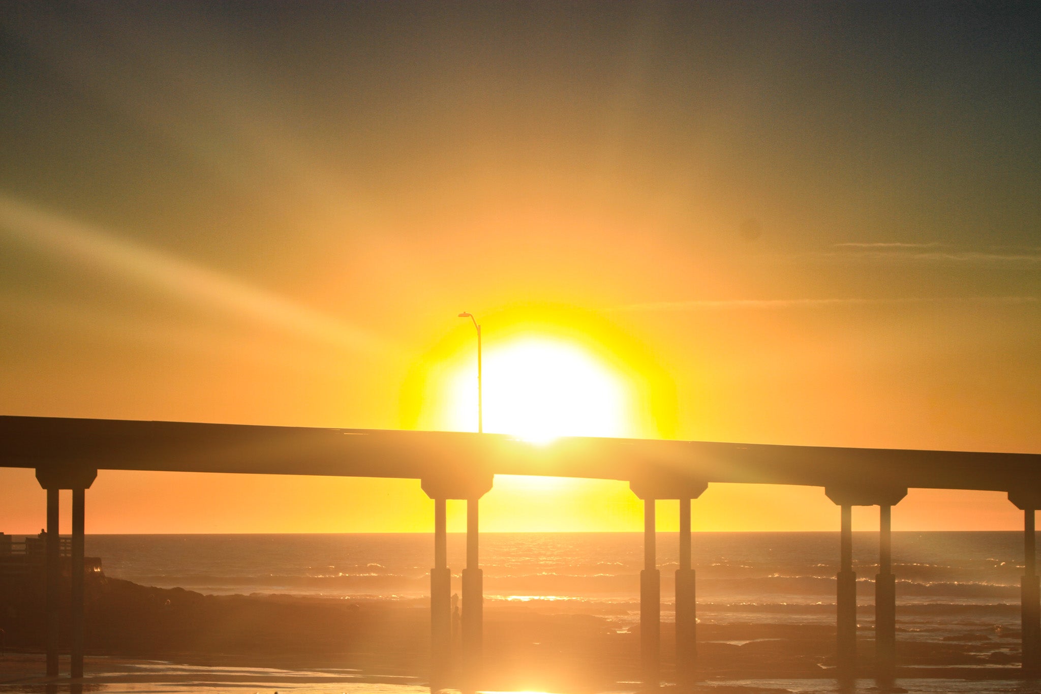 Golden Sunset at Ocean Beach – Premium Metal Print